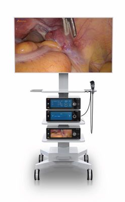 Laparoscopy Operation กล้องส่องกล้องทางการแพทย์ 4k พร้อมจอแสดงผลแบบสัมผัส 10.2 นิ้ว