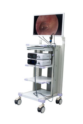 กล้องเอนโดสโคปทางการแพทย์แบบ Full HD สำหรับการผ่าตัด ENT Laparoscopy นรีเวชวิทยา Hysteroscopy Arthroscopy