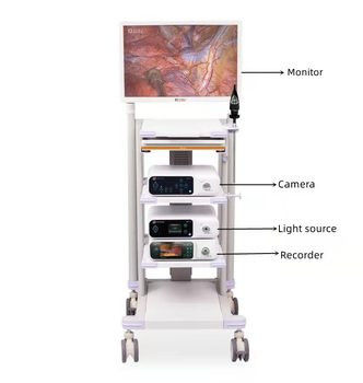 การถ่ายภาพทางการแพทย์ USB การบันทึกวิดีโอกล้อง Endoscope Full HD สำหรับ Otoscope Laparoscopy